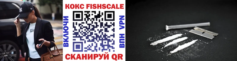 где найти   Кодинск  Кокаин Fish Scale 