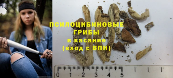 jwh Сясьстрой