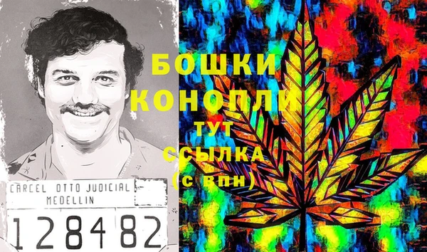 шишки Беломорск