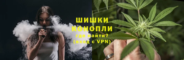 шишки Беломорск