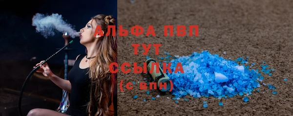 шишки Беломорск