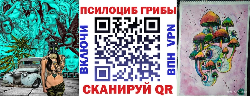 Галлюциногенные грибы Psilocybine cubensis  Кодинск 