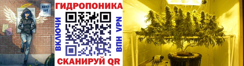 Шишки марихуана конопля Кодинск